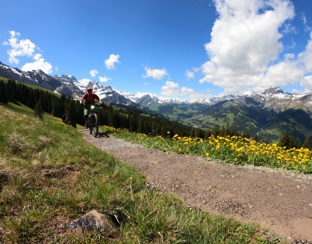 E-bike discovery tour