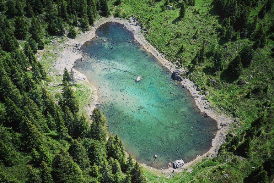 Nachhaltigkeit im Adler Adelboden